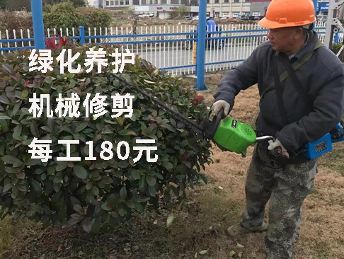 绿化工程