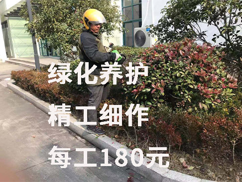 绿化工程