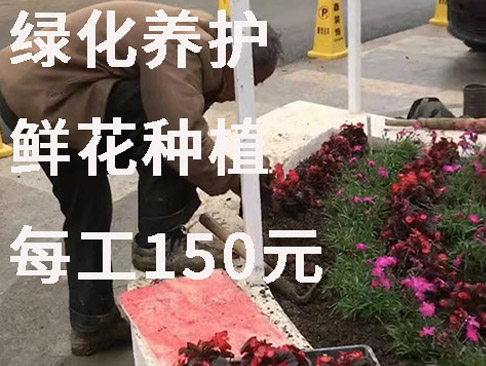 绿化工程