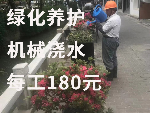 绿化工程