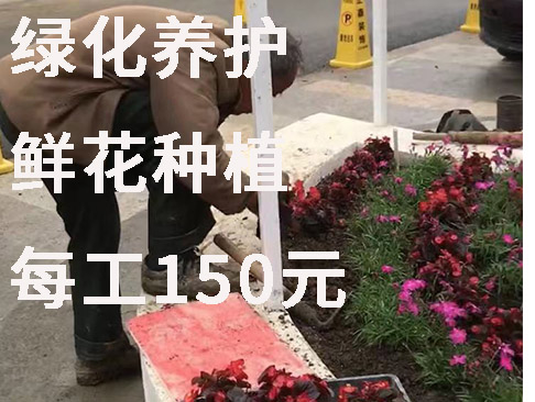 绿化养护